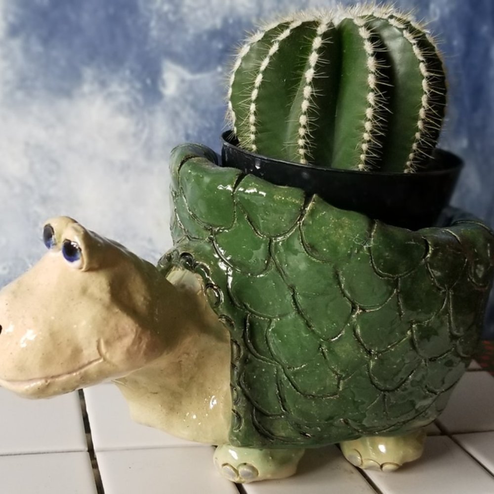Turtle Planter with Barrel Cactus and Gift Card
